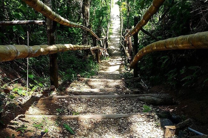 Mayfield Falls, Blue Hole & Ricks Cafe Tours With Lunch & Drink - Recommendations and Requirements