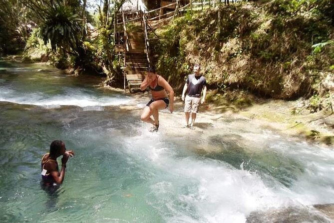 Mayfield Falls, Blue Hole & Ricks Cafe Tours With Lunch & Drink - Swim in Blue Hole