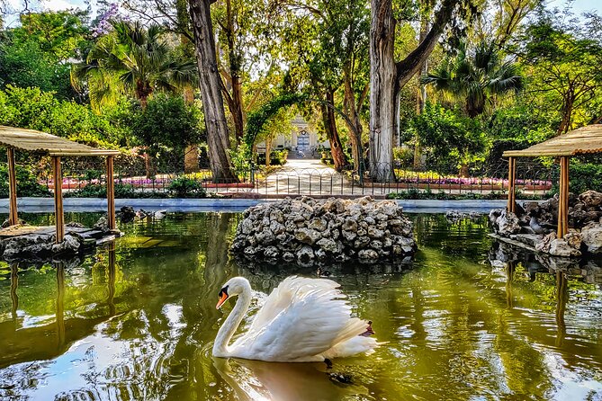 Mdina and Highlights of Malta Full Day Guided Tour Incl. Lunch and Transfers - Exploring the Ancient City of Mdina