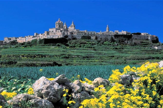 Mdina, Dingli cliffs and San Anton Gardens guided tour - Pricing and Value Analysis