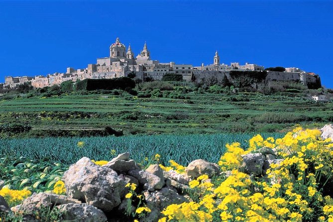 Mdina, Rabat, Dingli Cliffs, San Anton Gardens, Ta Qali & Mosta Guided Tour - Key Points