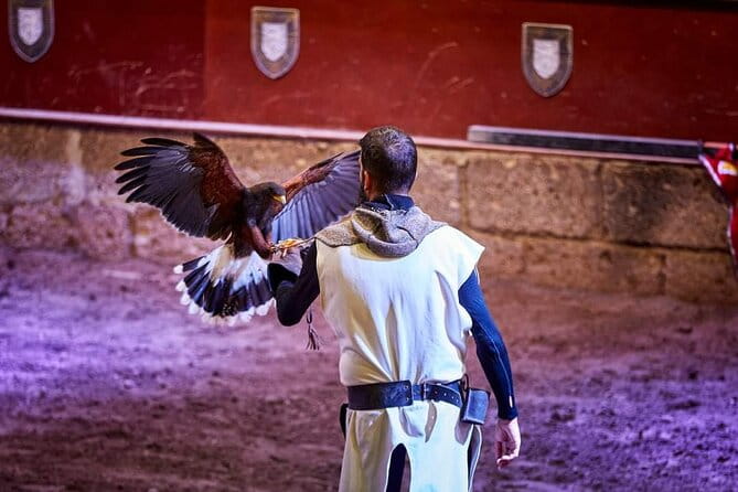 Medieval Castle with dinner from Puerto de la Cruz in TenerifeSur - Who Will Love This Experience?