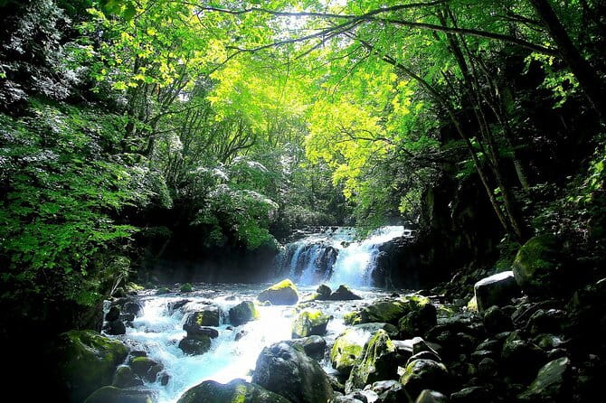 Meditation Experience in Nature With Primeval Forest and Springs - Discovering the Serene Springs