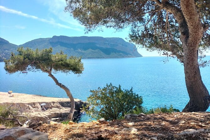 Mediterranean Dream : Cassis, Calanques Boat Ride & Appetizer - Discovering Marseille and Cassis: The Perfect Balance of Culture and Coastline
