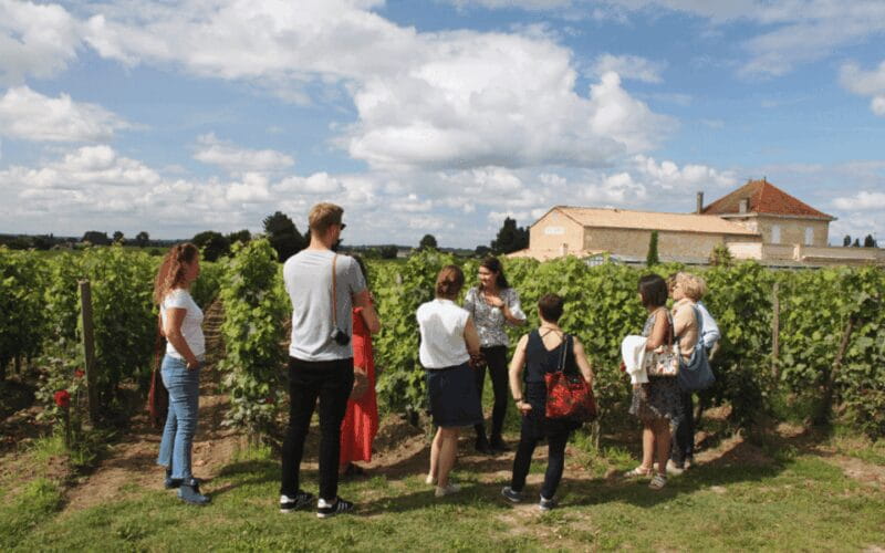 Médoc Morning Wine Tour - Winery & Tastings - Exploring Bordeaux’s Wine Heartland: The Médoc Morning Tour in Detail