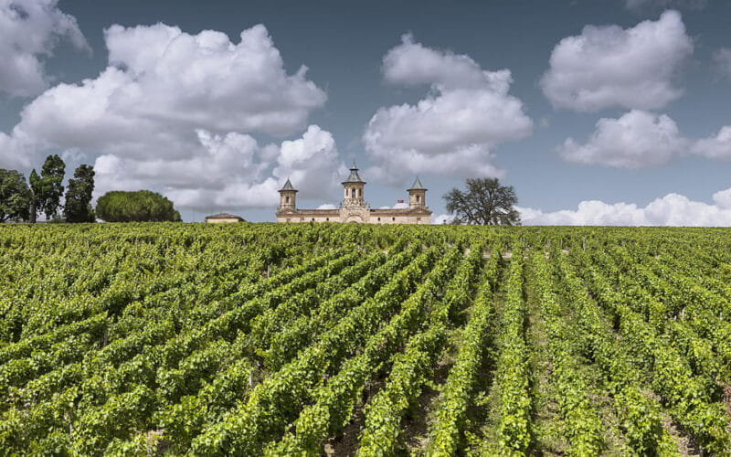 Médoc Morning Wine Tour - Winery & Tastings - Who This Tour Is Best For