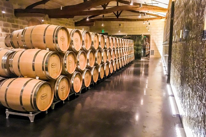 Medoc or Saint Emilion Wine Tasting and Chateau From Bordeaux - Just The Basics