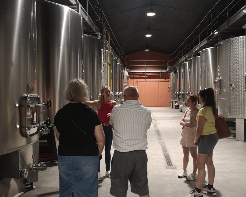 Médoc wine tour from Bordeaux: 2 wineries & 6 wines - Key points / Takeaways