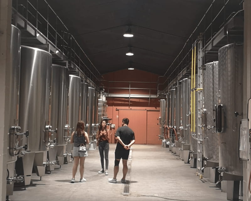 Médoc wine tour from Bordeaux: 2 wineries & 6 wines - Discovering Bordeaux’s Médoc on a Compact Tour