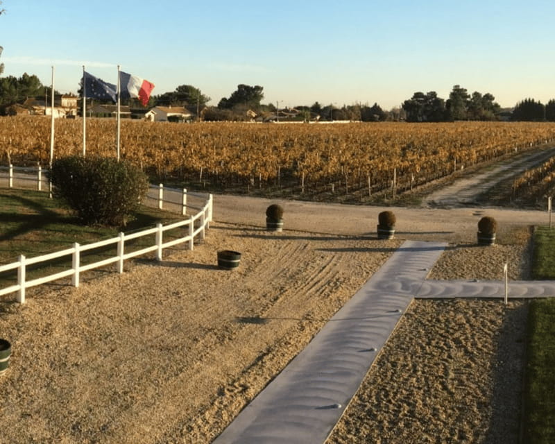 Médoc wine tour from Bordeaux: 2 wineries & 6 wines - The Tasting Experience: Quality and Variety