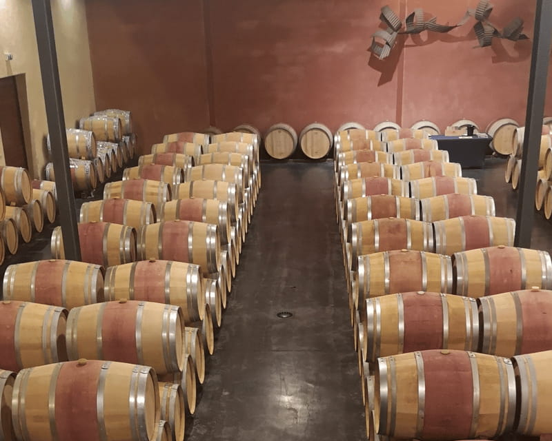 Médoc wine tour from Bordeaux: 2 wineries & 6 wines - Who Will Love This Tour?