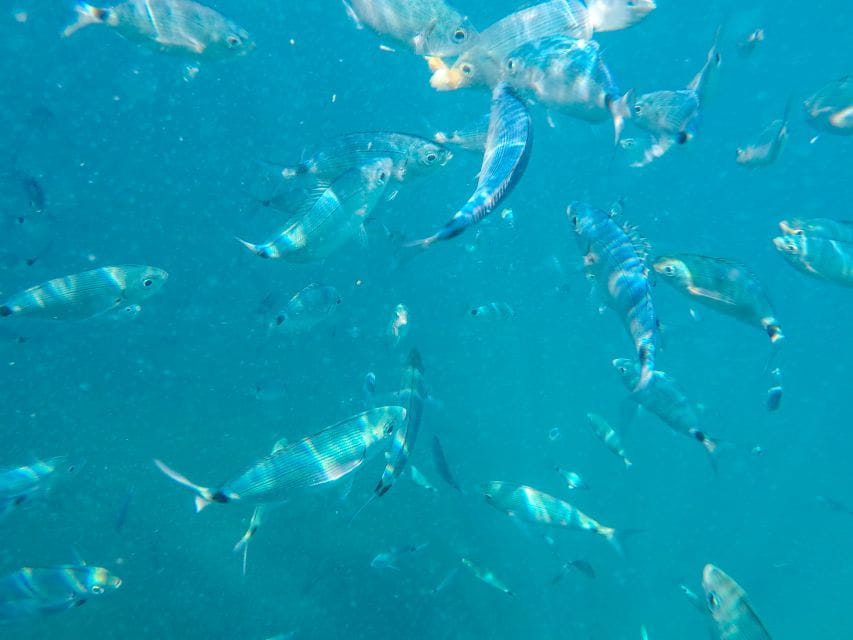 Medulin: Private Boat Tour With Captain - Cancellation and Refund Policy