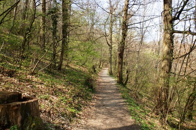 Medvednica Hiking and Chestnuts Picking Tour from Zagreb - Exploring Nature Near Zagreb: Medvednica Hiking and Chestnuts Picking Tour