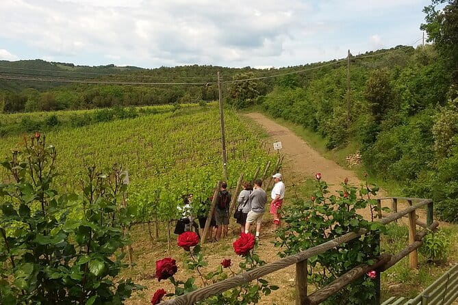 Meet the king of the territory: Brunello di Montalcino - Discovering Brunello di Montalcino: A Day of Wine and Authenticity