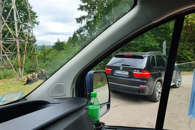 Meet Wild Brown Bears on the Roads to Real Dracula's Fortress - Frequently Asked Questions