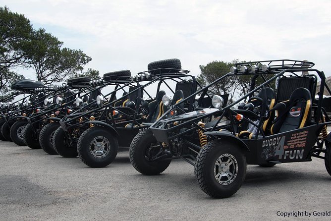 Mega Buggy Tours (Cala Millor, Cala Bona & Sa Coma / No Offroad) - Confirmation and Cancellation Policy