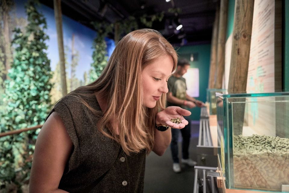 MEGA World Star Galicia Ticket - Tips for a Great Visit