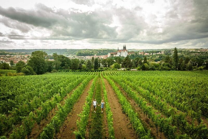 Meissen: Wine hike in the Proschwitz vineyards incl. 3-person wine tasting - Who Is This Experience Best For?