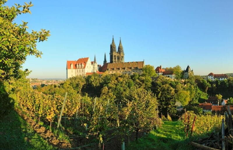 Meissen: Wine hike to the Rothes Gut winery including 3-person wine tasting - Key points / Takeaways