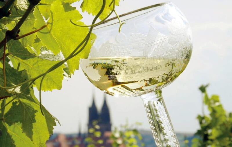 Meissen: Wine hike to the Rothes Gut winery including 3-person wine tasting - Who Is This Tour Best For?
