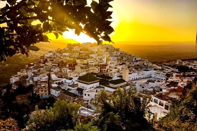 Meknes - Volubilis Day Trip - Highlights of the Tour