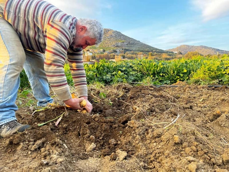 Melanes Tour: Kouros, culture,village life & local flavours - Exploring Melanes Village: A Genuine Slice of Naxos