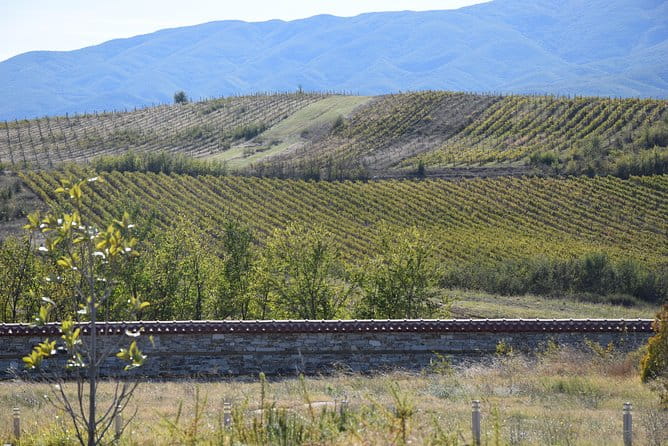 Melnik Wine Tasting tour from Sofia - The Sum Up