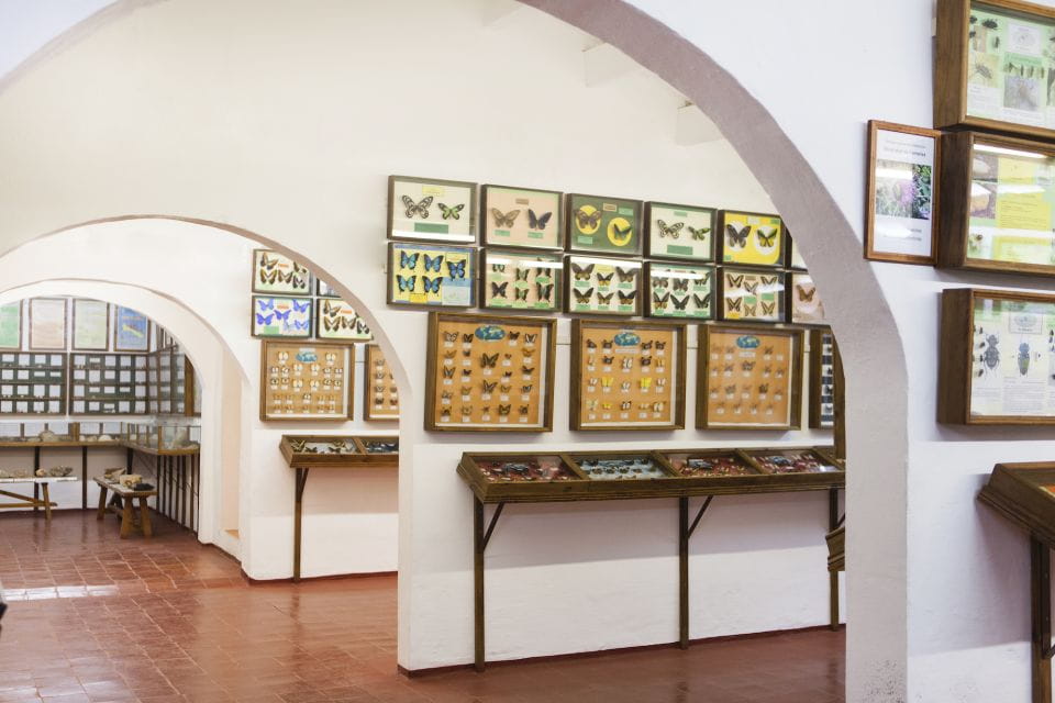 Menorca: Binissues & Natural Sciences Museum Ticket - Key Points