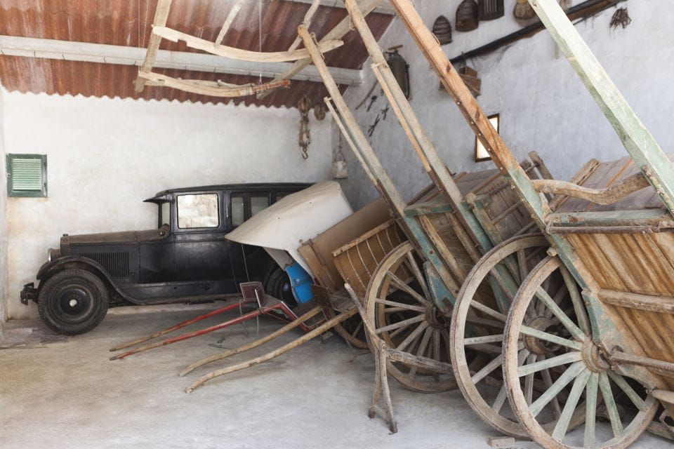 Menorca: Binissues & Natural Sciences Museum Ticket - Natural Sciences Collection Overview