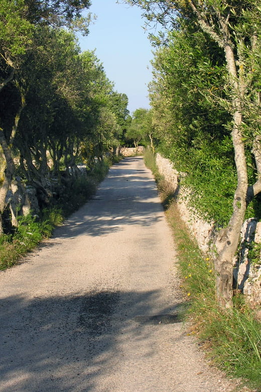 Menorca: E-Bike Tour From Punta Prima to Es Castell - A Closer Look at the Route and Experience