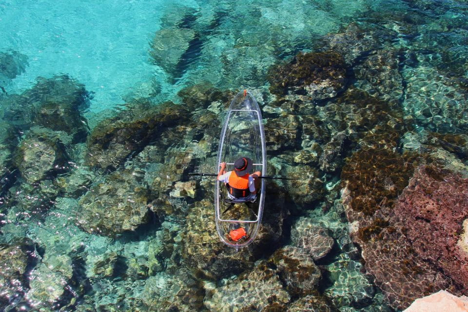 Menorca: Guided Transparent Kayaking Tour - Activity Highlights
