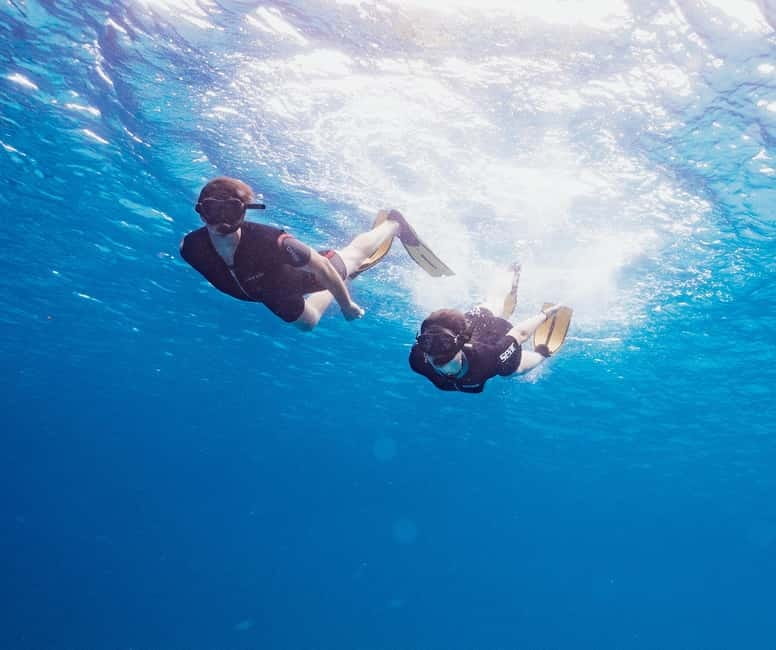 Menorca: Hidden Gems of South Coast Cruise - FAQs