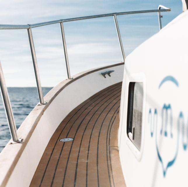 Menorca: Macarella, Turqueta, and Mitjana Cruise With Stops - Safety Considerations and Policies