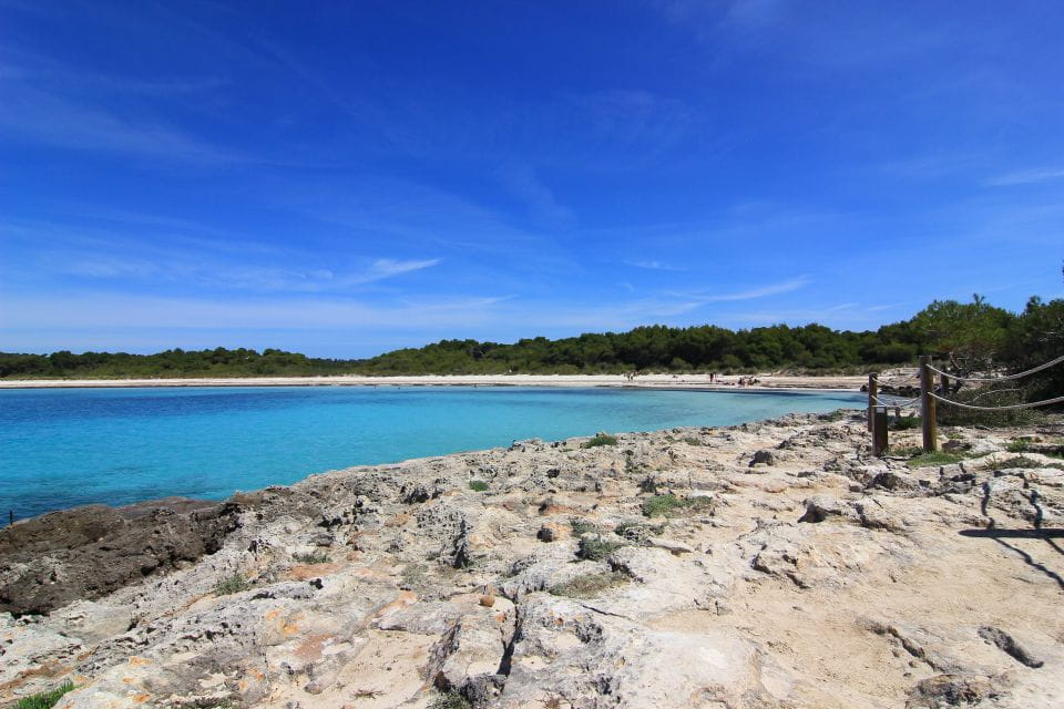 Menorca: Natural Coves and Beaches Boat Trip & Paella Lunch - Customer Feedback and Recommendations