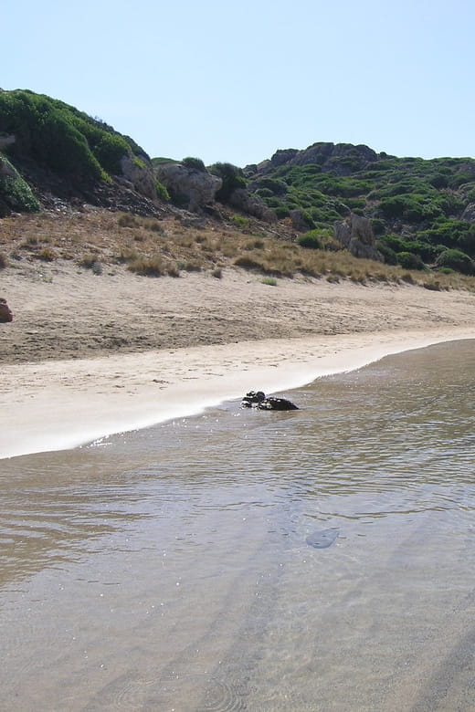 Menorca: Taxi-Boat from Es Grau to Colom Island - Key points / Takeaways