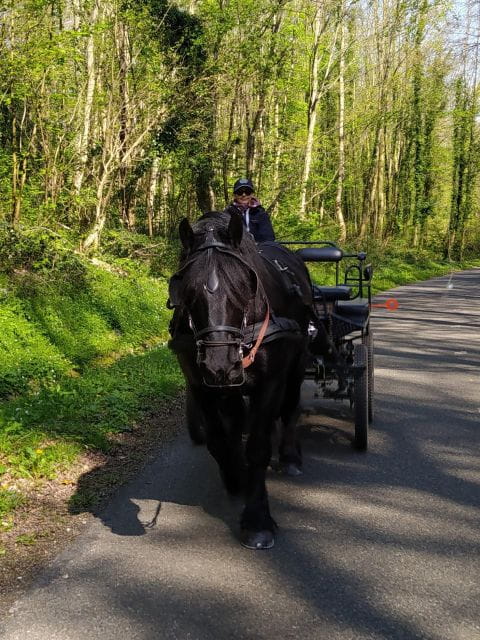 Mentheville: Horse-Drawn Carriage Day Tour With Picnic - Key Points