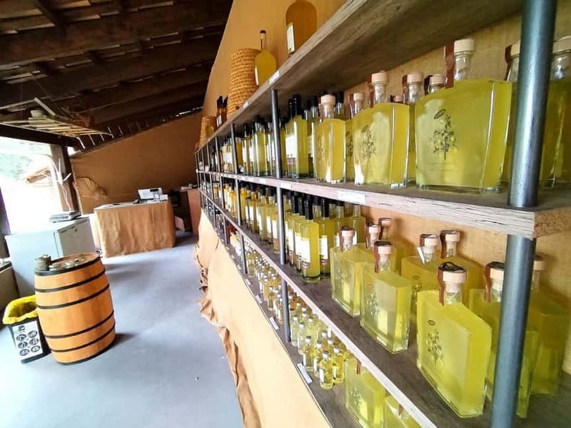 Menton: Citrus Farm, Old-Town & Botanic Full Day Tour - Final Thoughts