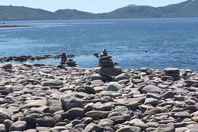 Mercedes Minibus, Ring of Kerry Private Tour From Killarney - Customer Feedback