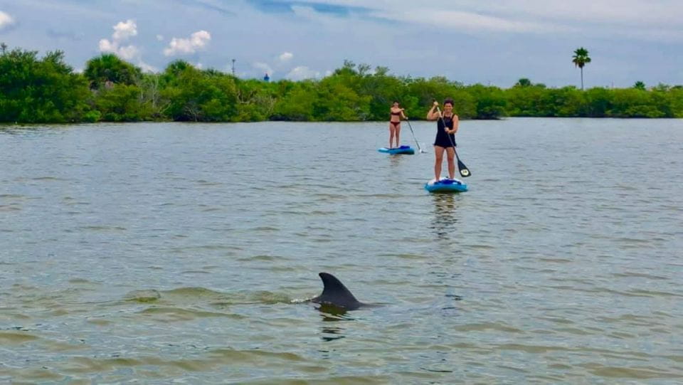 Merritt Island: Guided Kayak or SUP Tour Along Banana River - Highlights of the Experience