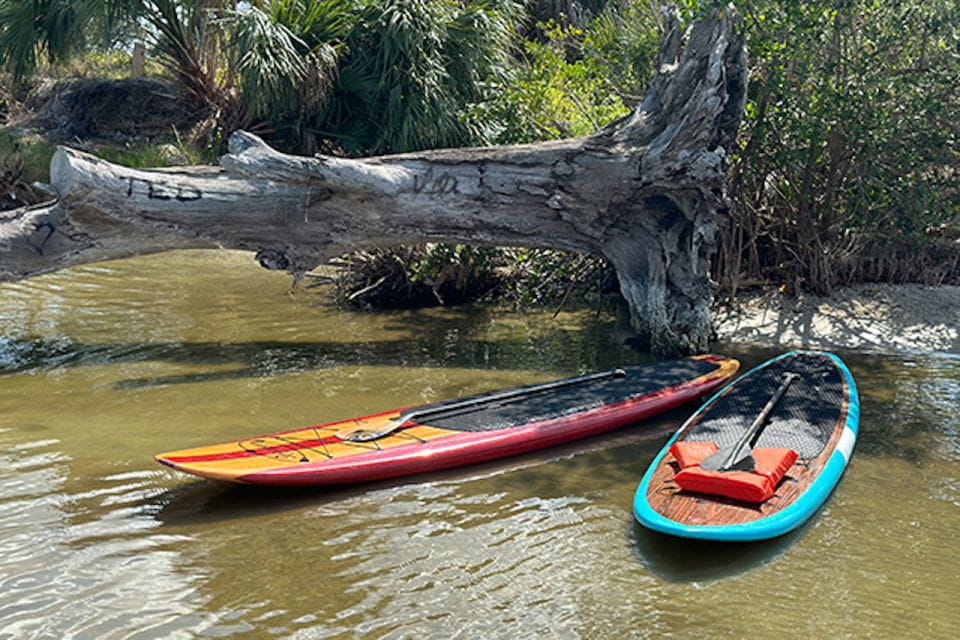Merritt Island: Manatee Watching Paddle or Kayak Tour - Inclusions and Important Information