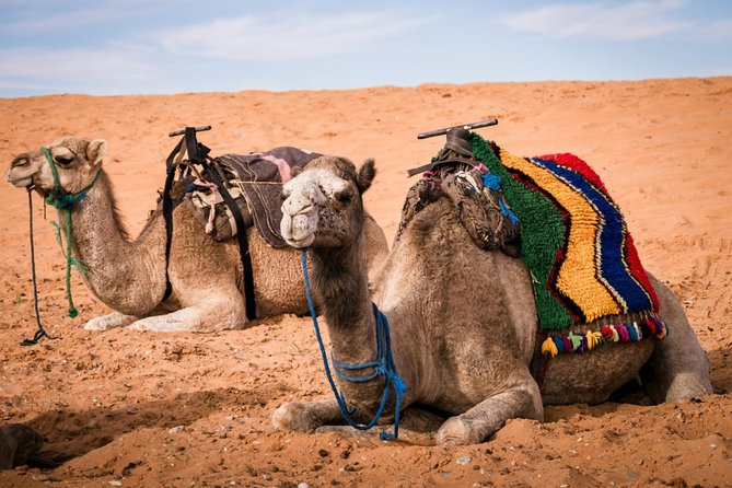 Merzouga 3-Days Desert Tour From Marrakech - Camel Trekking in the Sahara