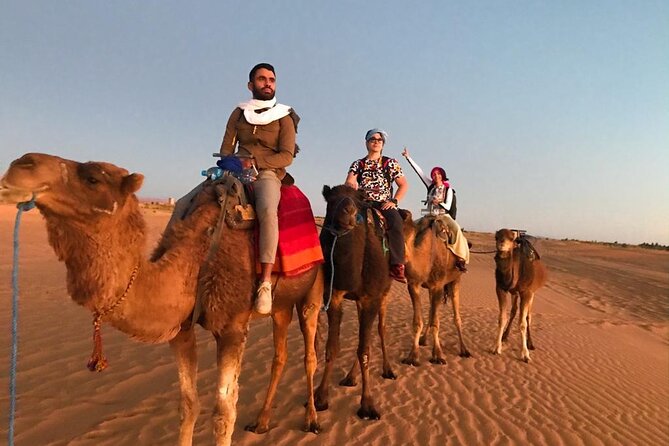 Merzouga Orange Dunes ATV Sandsurf Camels With 5 Stars Dinner - Key Points