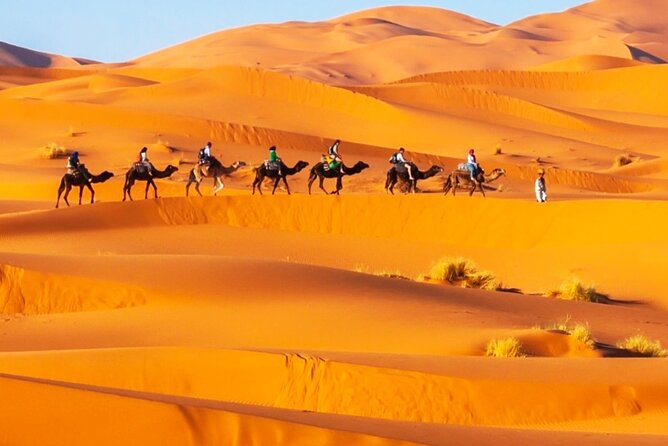 Merzouga Orange Dunes ATV Sandsurf Camels With 5 Stars Dinner - Ratings and Reviews