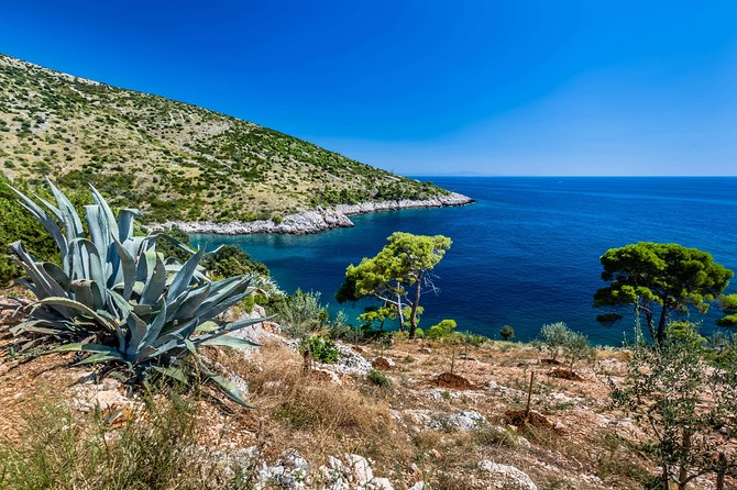 Mesmerizing Hvar Speed Boat Tour With Optional Wine Tasting - Included Amenities and Gear