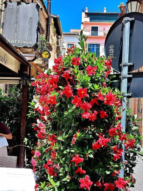 Messina, Savoca, Taormina e Castelmola - Price and Value: Is It Worth It?