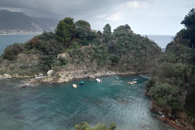 Messina Shore Special Tour of Taormina and Castelmola plus Panoramic Lunch - Key Points / Takeaways