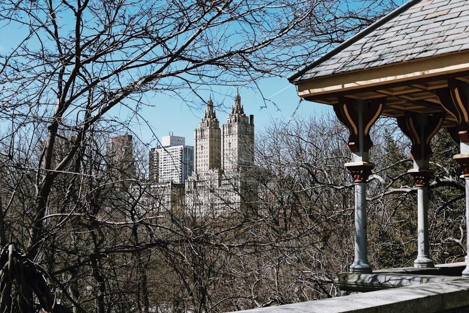 MET + Central Park Combo Tour - Memorable Sightseeing Combination
