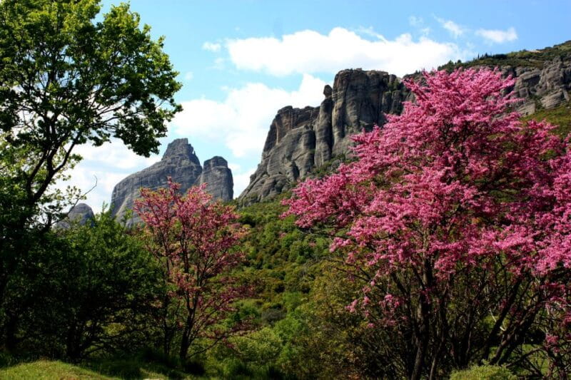 Meteora: Easy Hiking Adventure - Transportation & Logistics: What Makes It Smooth & Practical