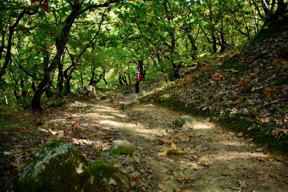Meteora Hiking With Monastery Visit & Tandem Paragliding - Hiking Experience