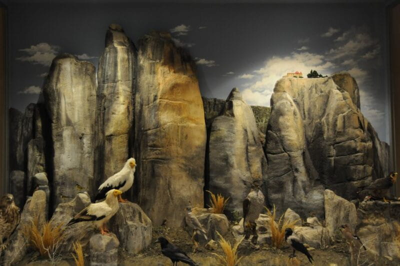 Meteora: Natural History Museum and Mushroom Museum Tour - Practical Tips for Visiting